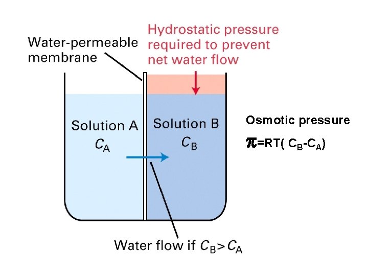 Osmotic pressure =RT( C -C ) B A 