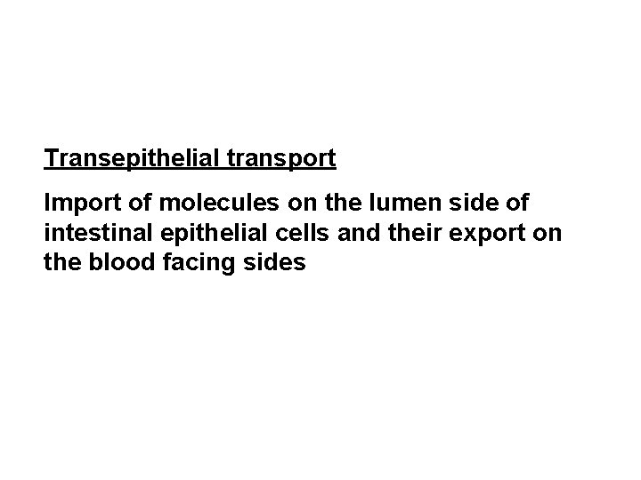 Transepithelial transport Import of molecules on the lumen side of intestinal epithelial cells and