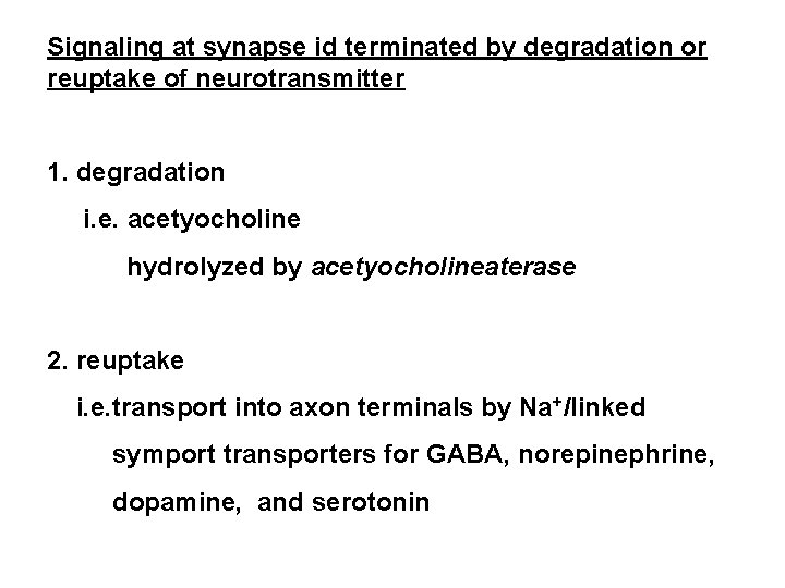 Signaling at synapse id terminated by degradation or reuptake of neurotransmitter 1. degradation i.