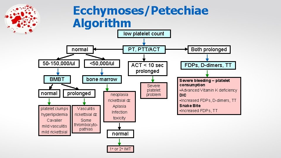 Ecchymoses/Petechiae Algorithm low platelet count normal 50 -150, 000/ul BMBT normal PT, PTT/ACT <50,