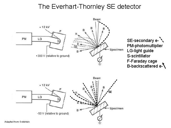 The Everhart-Thornley SE detector SE-secondary e. PM-photomultiplier LG-light guide S-scintillator F-Faraday cage B-backscattered e-