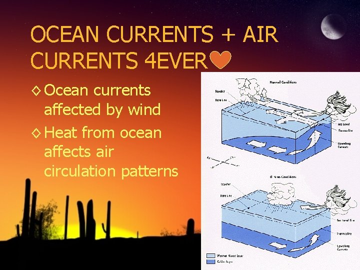 OCEAN CURRENTS + AIR CURRENTS 4 EVER ◊ Ocean currents affected by wind ◊