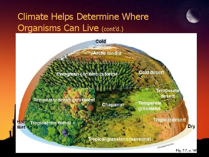 Climate Helps Determine Where Organisms Can Live (cont’d. ) Hot Wet Dry 