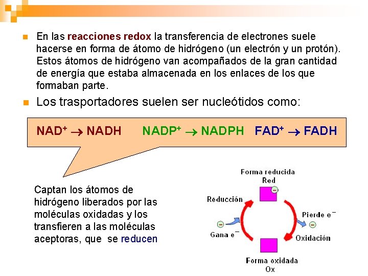 n En las reacciones redox la transferencia de electrones suele hacerse en forma de