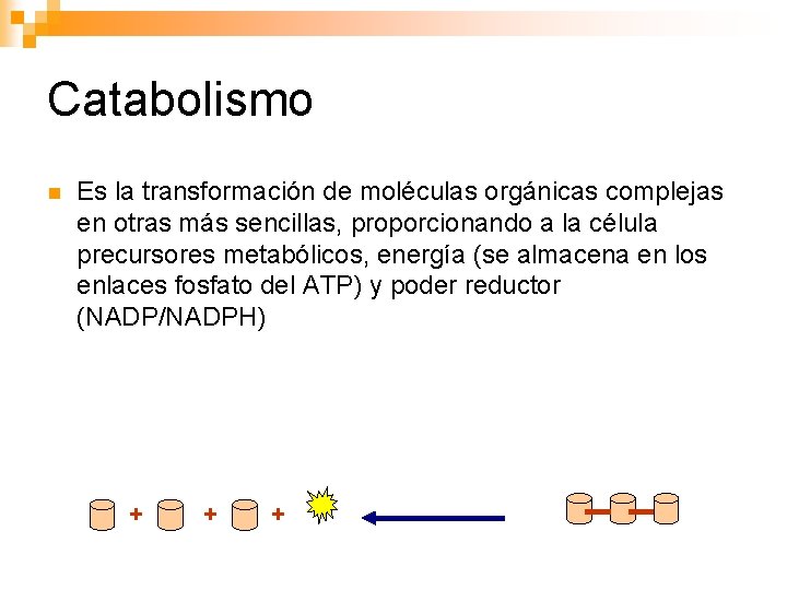 Catabolismo n Es la transformación de moléculas orgánicas complejas en otras más sencillas, proporcionando