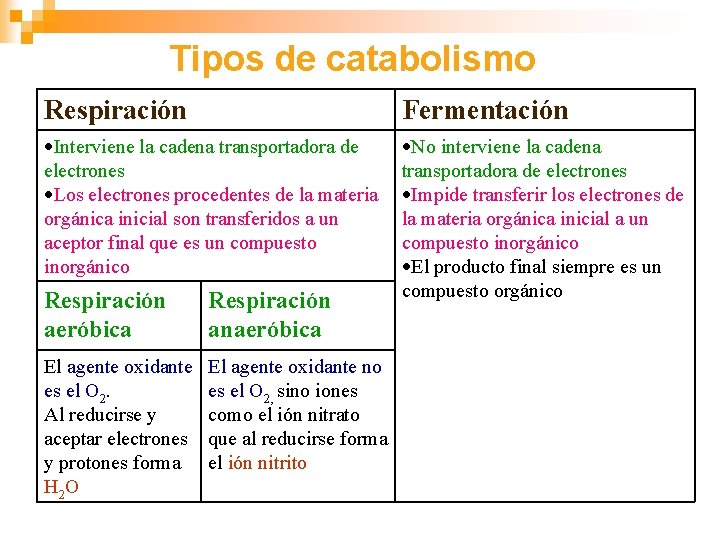 Tipos de catabolismo Respiración Fermentación Interviene la cadena transportadora de electrones Los electrones procedentes