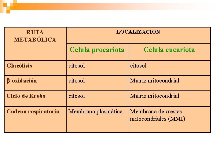 LOCALIZACIÓN RUTA METABÓLICA Célula procariota Célula eucariota Glucólisis citosol -oxidación citosol Matriz mitocondrial Ciclo