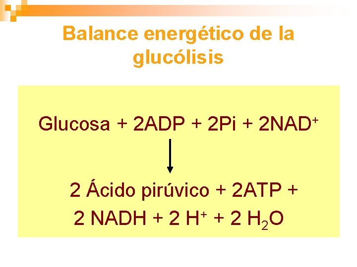 Balance energético de la glucólisis Glucosa + 2 ADP + 2 Pi + 2