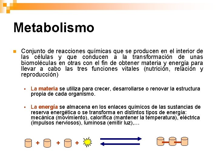 Metabolismo n Conjunto de reacciones químicas que se producen en el interior de las
