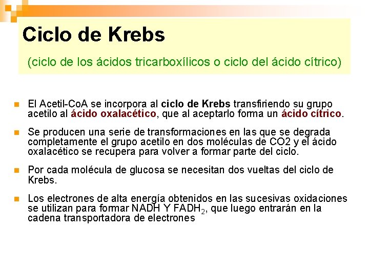 Ciclo de Krebs (ciclo de los ácidos tricarboxílicos o ciclo del ácido cítrico) n