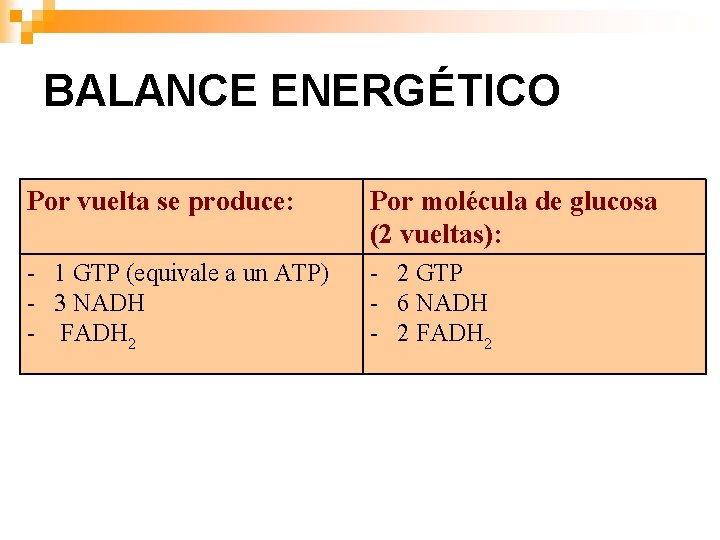 BALANCE ENERGÉTICO Por vuelta se produce: Por molécula de glucosa (2 vueltas): - 1