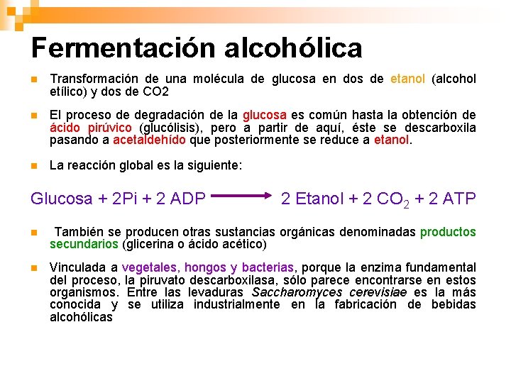 Fermentación alcohólica n Transformación de una molécula de glucosa en dos de etanol (alcohol