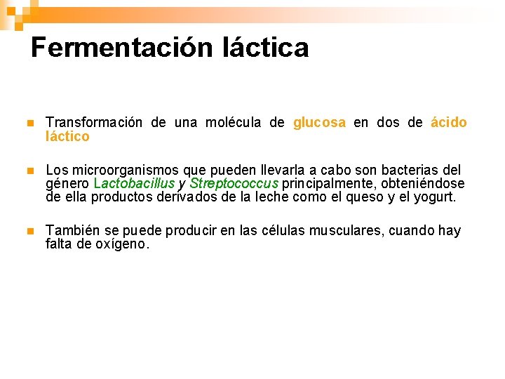 Fermentación láctica n Transformación de una molécula de glucosa en dos de ácido láctico