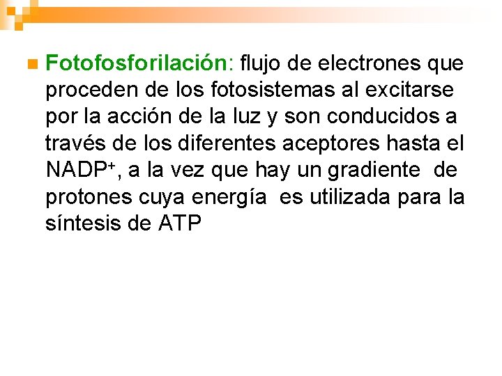 n Fotofosforilación: flujo de electrones que proceden de los fotosistemas al excitarse por la