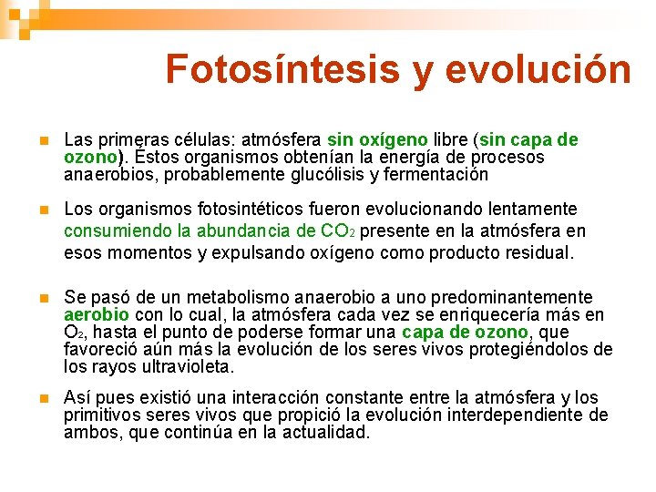 Fotosíntesis y evolución n Las primeras células: atmósfera sin oxígeno libre (sin capa de