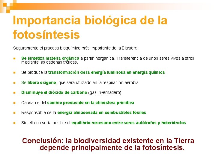 Importancia biológica de la fotosíntesis Seguramente el proceso bioquímico más importante de la Biosfera: