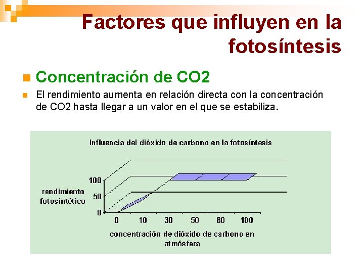 Factores que influyen en la fotosíntesis n Concentración de CO 2 n El rendimiento