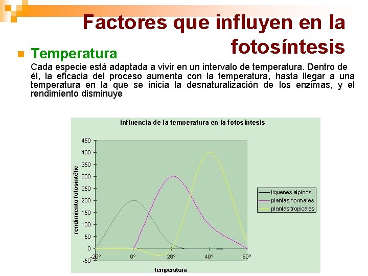 Factores que influyen en la fotosíntesis n Temperatura Cada especie está adaptada a vivir