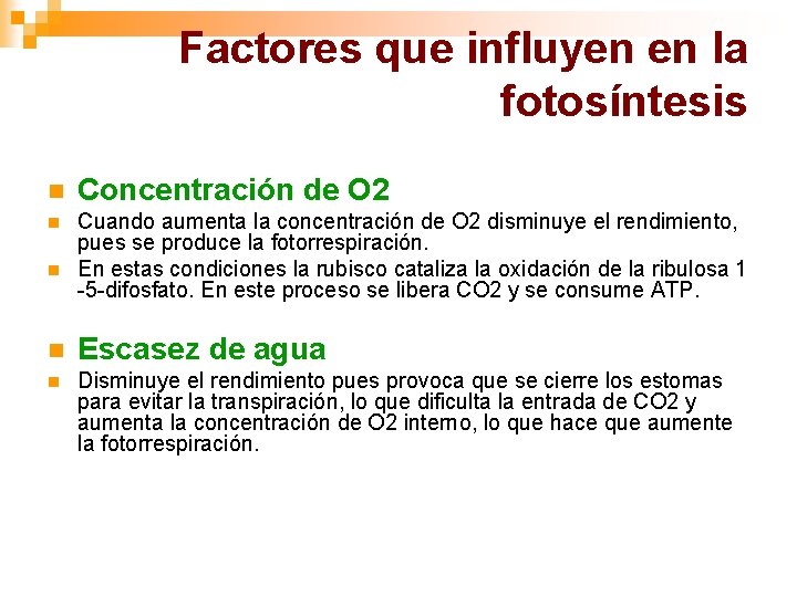 Factores que influyen en la fotosíntesis n Concentración de O 2 n Cuando aumenta