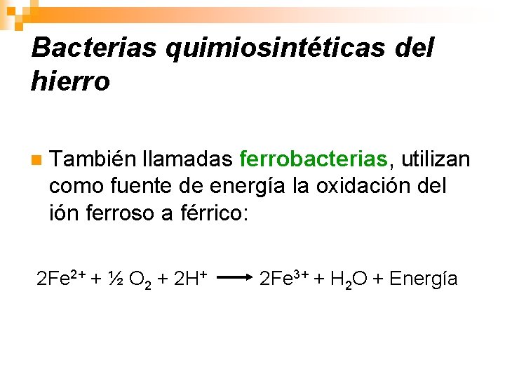 Bacterias quimiosintéticas del hierro n También llamadas ferrobacterias, utilizan como fuente de energía la