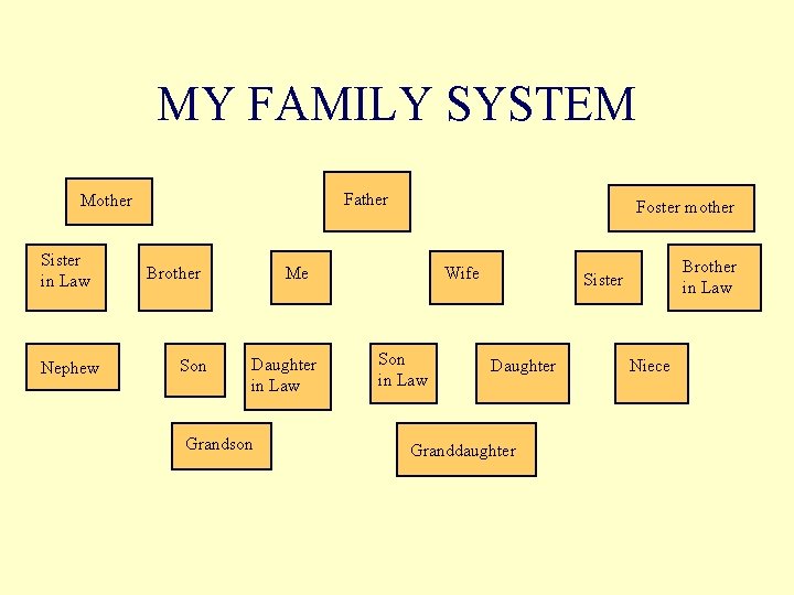 MY FAMILY SYSTEM Father Mother Sister in Law Nephew Brother Son Foster mother Me