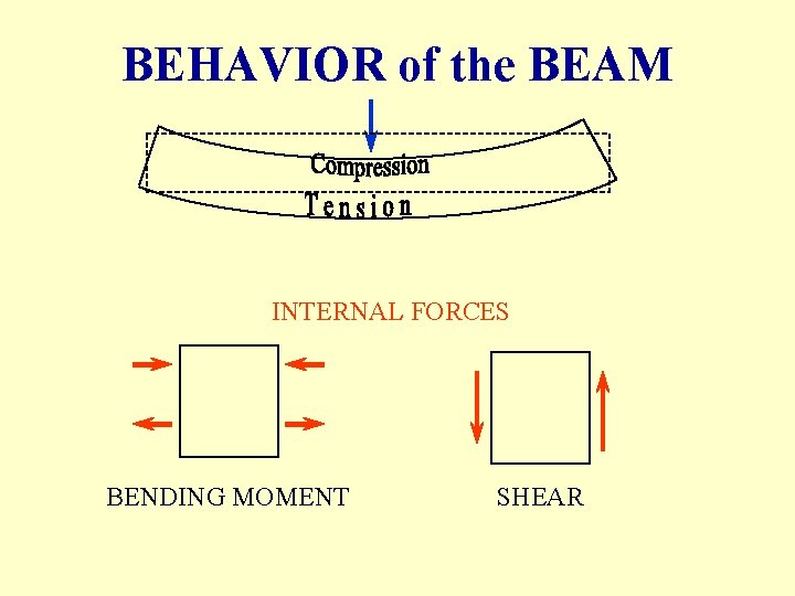 BEHAVIOR of the BEAM INTERNAL FORCES BENDING MOMENT SHEAR 