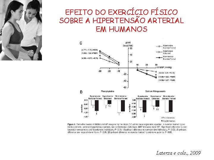EFEITO DO EXERCÍCIO FÍSICO SOBRE A HIPERTENSÃO ARTERIAL EM HUMANOS Laterza e cols. ,