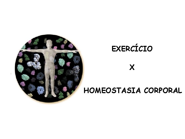 EXERCÍCIO X HOMEOSTASIA CORPORAL 