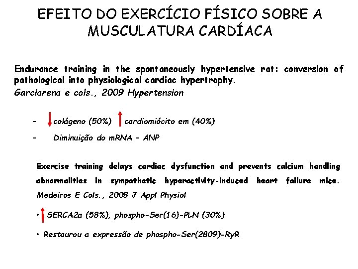 EFEITO DO EXERCÍCIO FÍSICO SOBRE A MUSCULATURA CARDÍACA Endurance training in the spontaneously hypertensive
