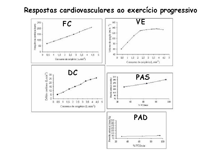 Respostas cardiovasculares ao exercício progressivo FC DC VE PAS PAD 