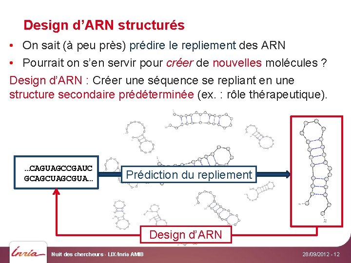Design d’ARN structurés • On sait (à peu près) prédire le repliement des ARN