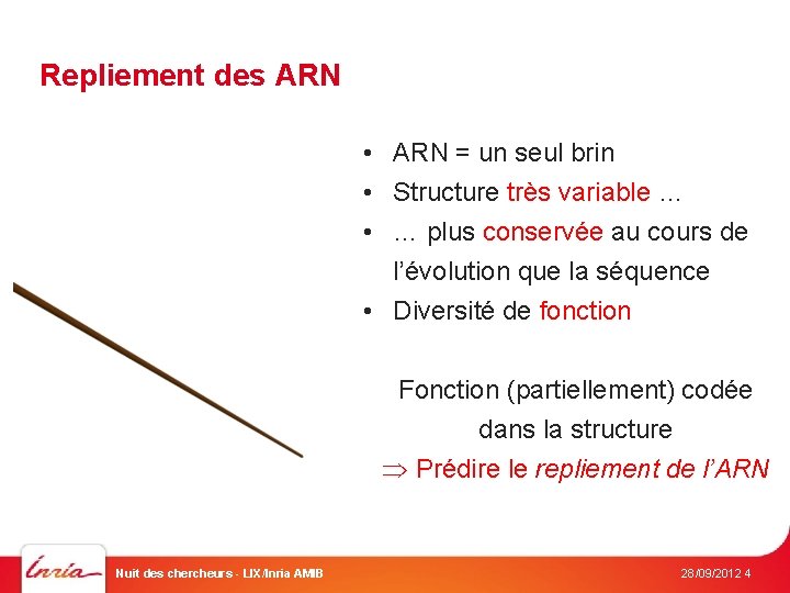 Repliement des ARN • ARN = un seul brin • Structure très variable …