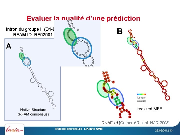 Evaluer la qualité d’une prédiction Intron du groupe II (D 1 -D 4) RFAM