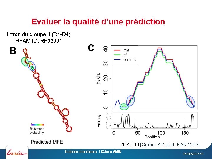 Evaluer la qualité d’une prédiction Intron du groupe II (D 1 -D 4) RFAM