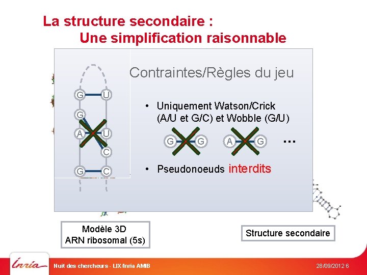 La structure secondaire : Une simplification raisonnable Contraintes/Règles du jeu G U G A