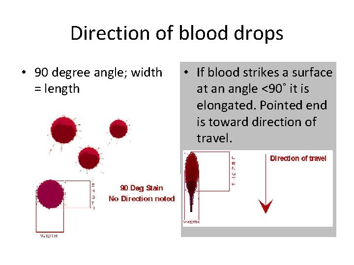 Direction of blood drops • 90 degree angle; width = length • If blood