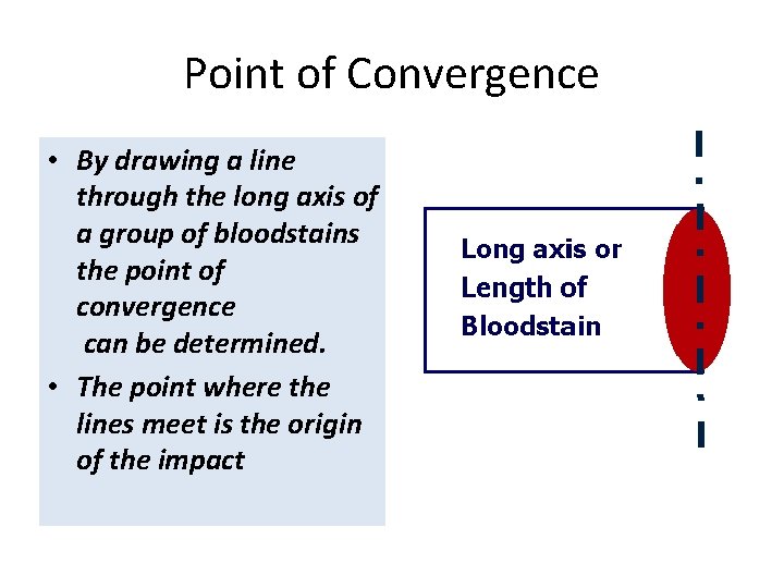 Point of Convergence • By drawing a line through the long axis of a