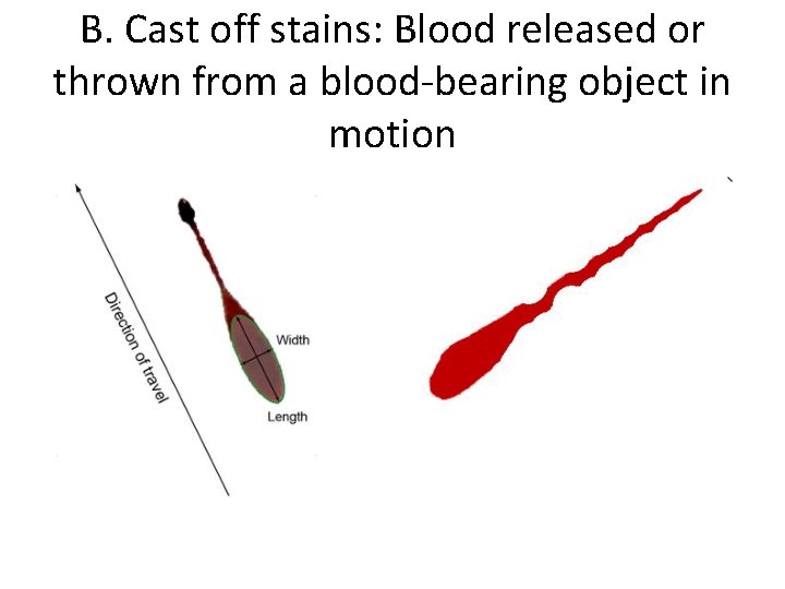 B. Cast off stains: Blood released or thrown from a blood-bearing object in motion
