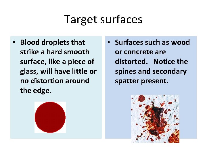 Target surfaces • Blood droplets that strike a hard smooth surface, like a piece