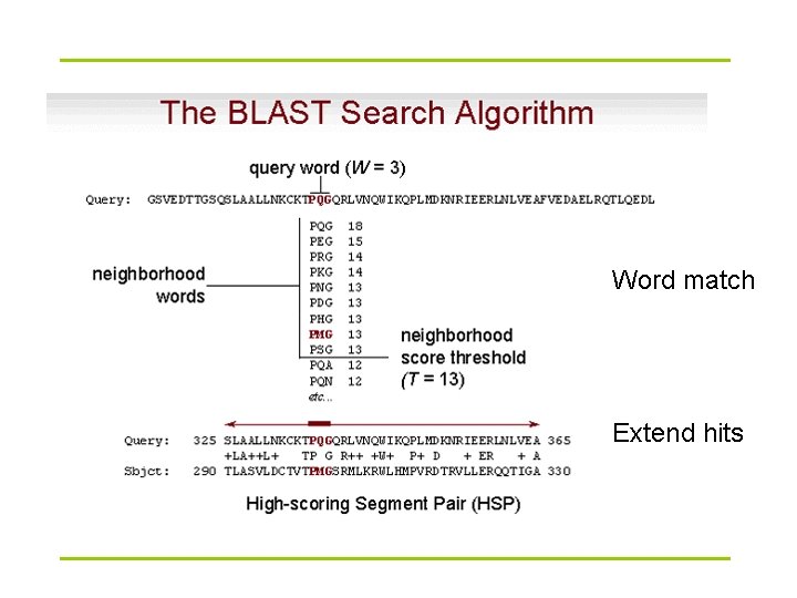Word match Extend hits 