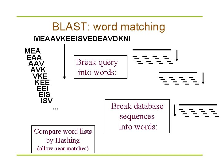 BLAST: word matching MEAAVKEEISVEDEAVDKNI MEA EAA AAV AVK VKE KEE EEI EIS ISV Break