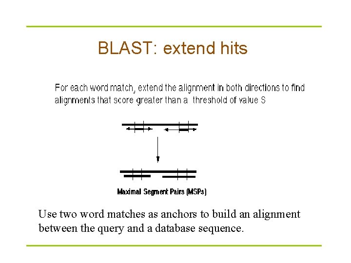 BLAST: extend hits Use two word matches as anchors to build an alignment between