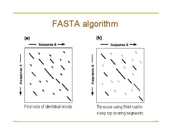 FASTA algorithm 