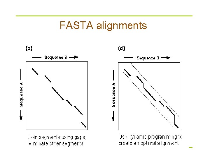 FASTA alignments 