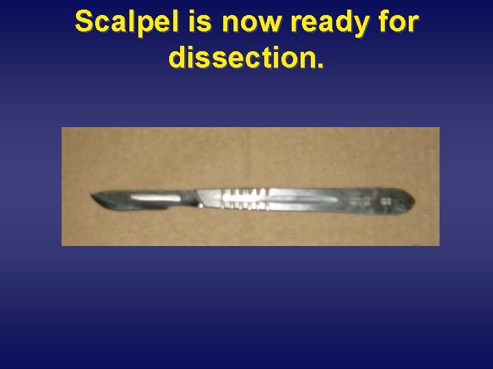 Scalpel is now ready for dissection. 