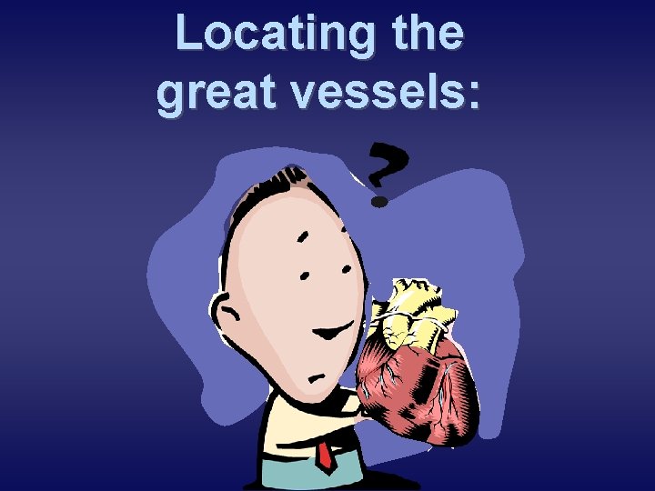 Locating the great vessels: 