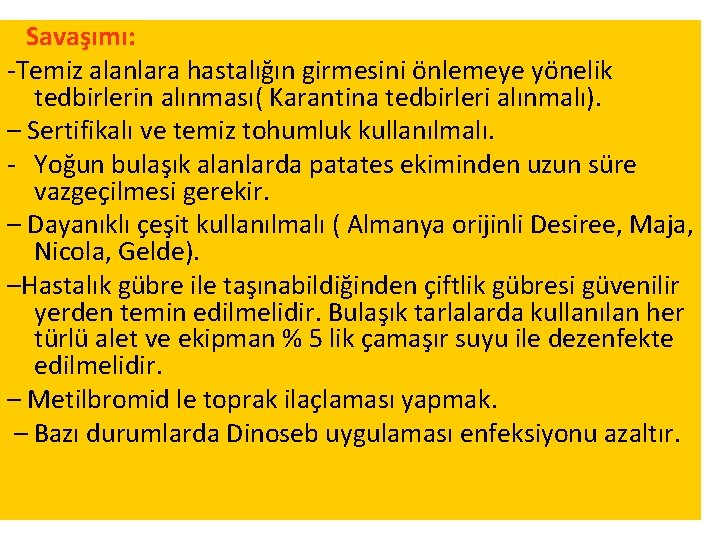 Savaşımı: -Temiz alanlara hastalığın girmesini önlemeye yönelik tedbirlerin alınması( Karantina tedbirleri alınmalı). – Sertifikalı