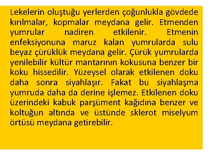 Lekelerin oluştuğu yerlerden çoğunlukla gövdede kırılmalar, kopmalar meydana gelir. Etmenden yumrular nadiren etkilenir. Etmenin