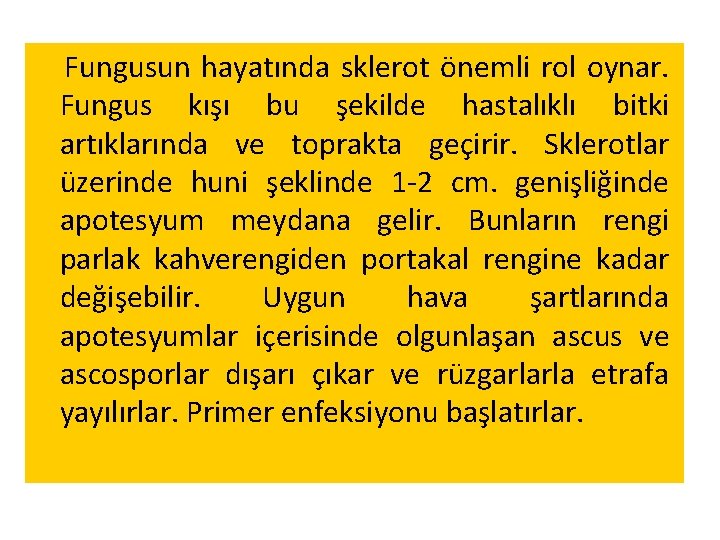 Fungusun hayatında sklerot önemli rol oynar. Fungus kışı bu şekilde hastalıklı bitki artıklarında ve