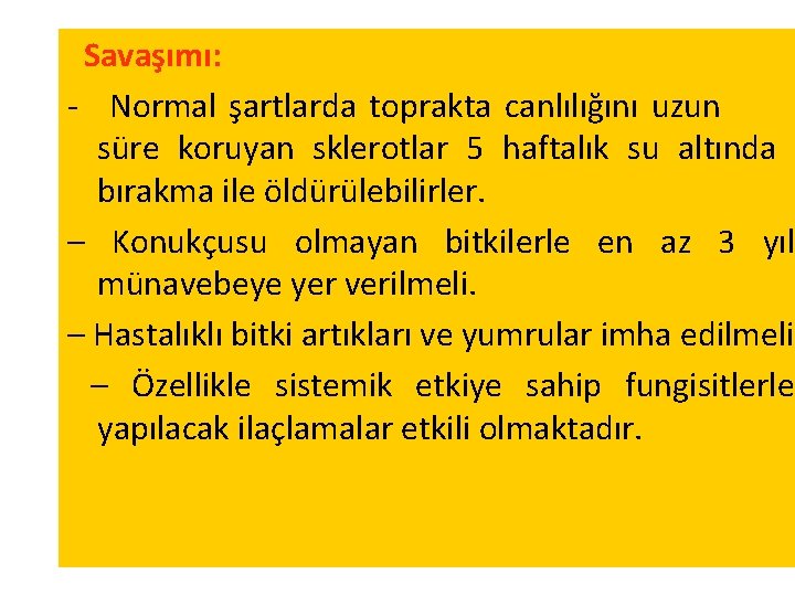 Savaşımı: - Normal şartlarda toprakta canlılığını uzun süre koruyan sklerotlar 5 haftalık su altında